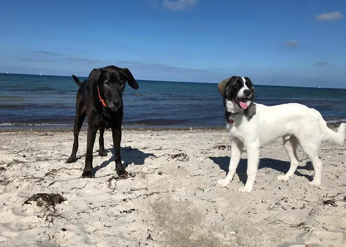 Feriehus Storchennest Haushaelfte *