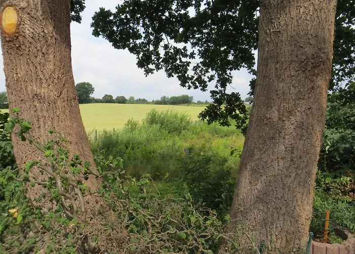 Storchennest Haushaelfte Feriehus